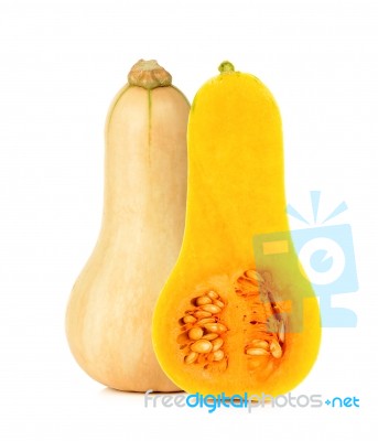 Butternut Squash Isoalted On The White Stock Photo