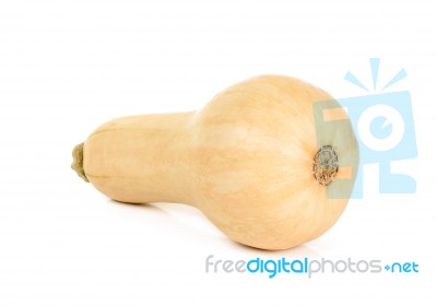 Butternut Squash Isolated Stock Photo