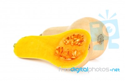 Butternut Squash Isolated Stock Photo