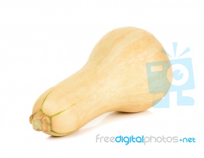 Butternut Squash Isolated Stock Photo