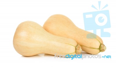 Butternut Squash Isolated Stock Photo