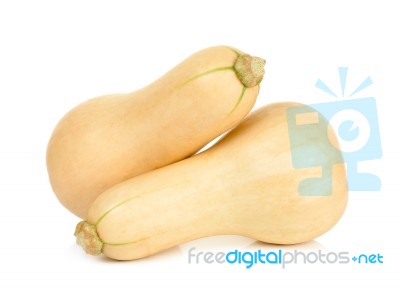 Butternut Squash Isolated Stock Photo