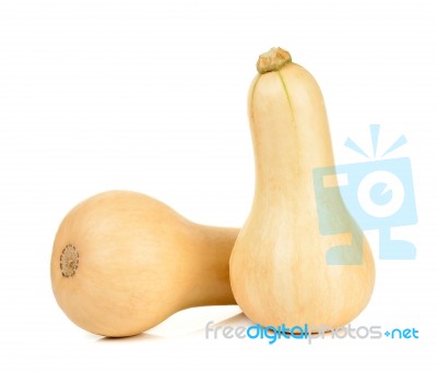 Butternut Squash Isolated On The White Stock Photo