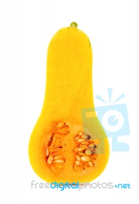 Butternut Squash Isolated On The White Stock Photo