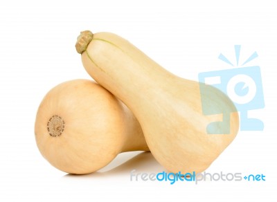 Butternut Squash Isolated On The White Stock Photo