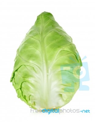 Cabbage Isolated On The White Background Stock Photo