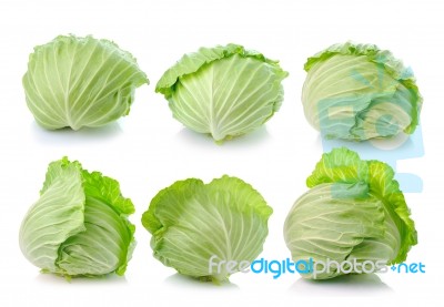 Cabbage Isolated On White Background Stock Photo