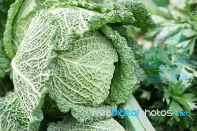 Cabbage On A Maket Stall In Friedrichsdorf Stock Photo