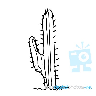 Cactus Doodle Hand Drawn Stock Image