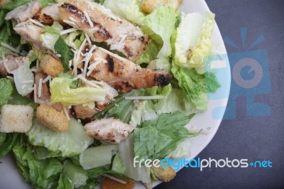 Caesar's Chicken Salad Stock Photo