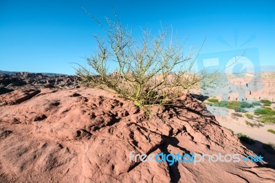 Cafayate, Salta, Argentina Stock Photo