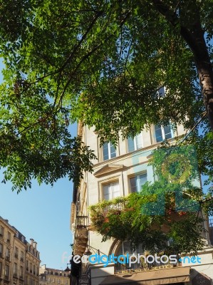 Cafe And Tree Near Porte Cailhau (palace Gate) In Bordeaux Stock Photo