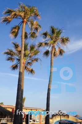 Calahonda, Andalucia/spain - May 8 : Evening Sunshine At Dona Lo… Stock Photo