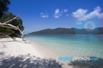 Calm Beach And Clear Blue Sea Stock Photo