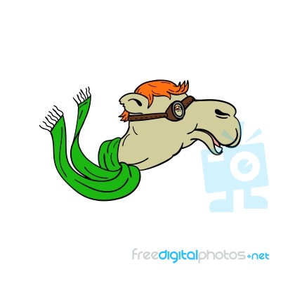 Camel Wearing Goggles Mascot Stock Image