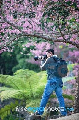 Cameraman Stock Photo