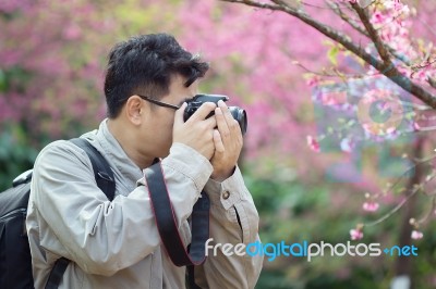 Cameraman Stock Photo