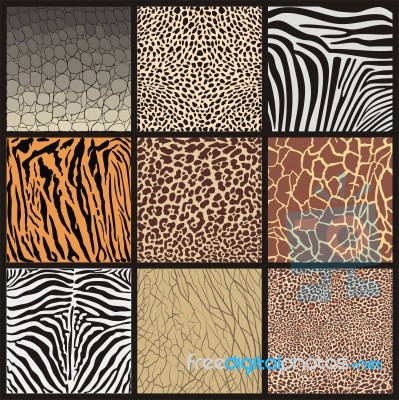 Camouflage Of African Animals Stock Image