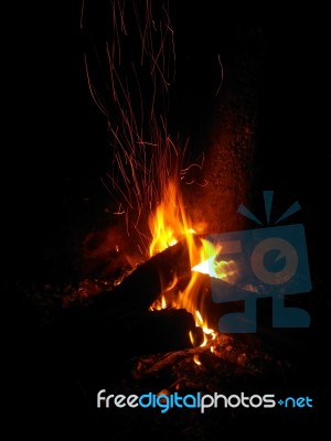 Camp Fire Stock Photo