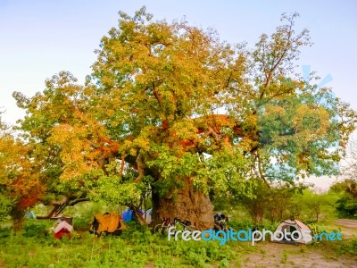 Camp Ground In Botswana Stock Photo