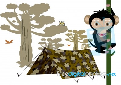 Camping Tent And Monkey On tree Stock Image