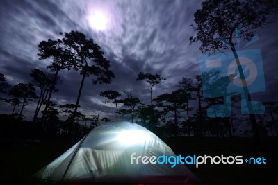 Camping With Tents On The Mountain In The Moonlight At Phu Soi Dao Stock Photo