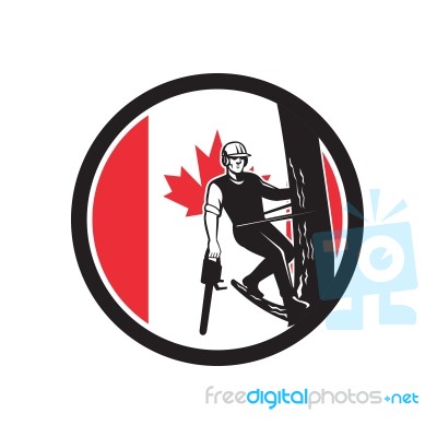 Canadian Tree Surgeon Canada Flag Icon Stock Image