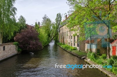 Canal In Bruges Stock Photo