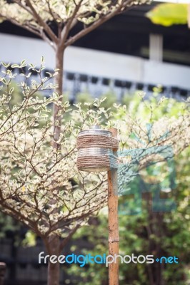 Candle Lamp In The Garden Stock Photo