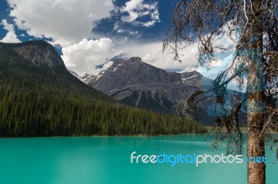 Canoes On Emerald Lake Stock Photo