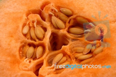 Cantaloupe Melon Stock Photo