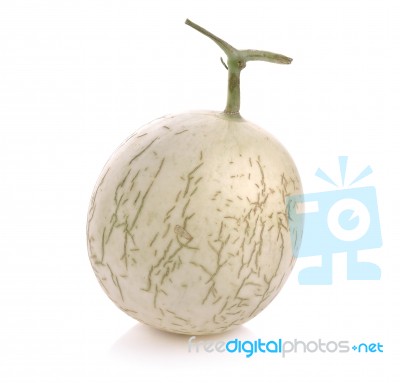 Cantaloupe Melon Fruit On White Background Stock Photo