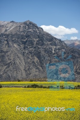 Canyon Of The Colca River In Southern Peru Stock Photo