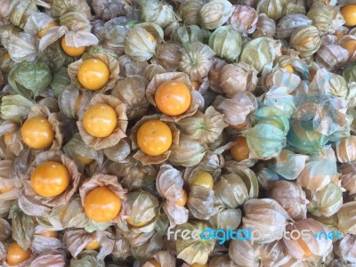 Cape Gooseberry Fruits Background In Chiang Mai,thailand Stock Photo