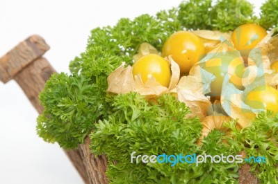 Cape Gooseberry (physalis) With Parsley Stock Photo