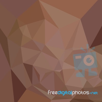 Caput Mortuum Brown Abstract Low Polygon Background Stock Image