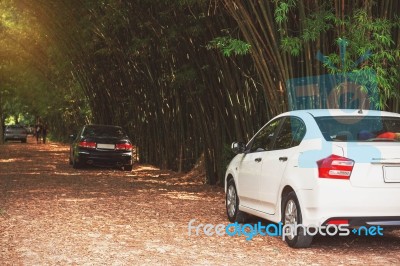 Car At The Bamboo Garden Stock Photo