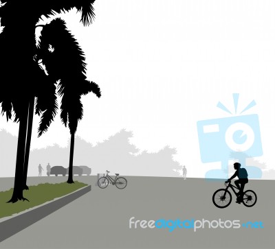 Car Park With Cyclist Woman Scene Stock Image