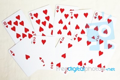 Card Gambling Stock Photo