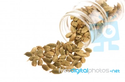 Cardamom Pods Stock Photo