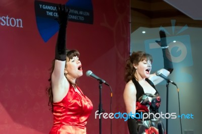 Cardiff, Wales/uk - December 26 : Christmas Singers In The Mille… Stock Photo