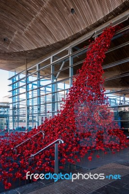 Cardiff/uk - August 27 : Poppies Pouring Out Of The Welsh Assemb… Stock Photo