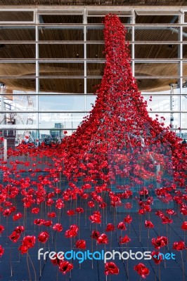 Cardiff/uk - August 27 : Poppies Pouring Out Of The Welsh Assemb… Stock Photo