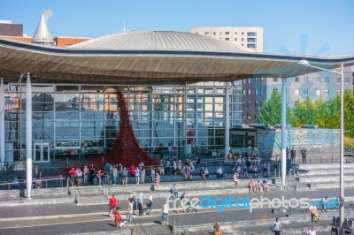 Cardiff/uk - August 27 : Poppies Pouring Out Of The Welsh Assemb… Stock Photo