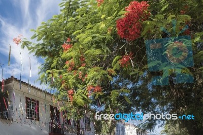 Carnival Decorations On The Streets Of The Historic City Of Para… Stock Photo