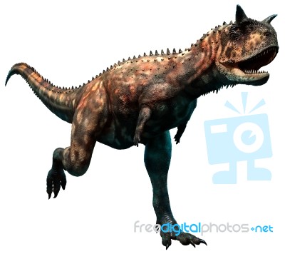 Carnotaurus Stock Image