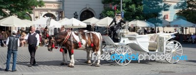 Carriage And Horses In Krakow Stock Photo