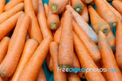 Carrot Stock Photo