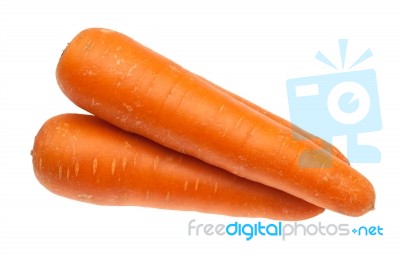 Carrot Isolated Stock Photo