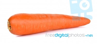 Carrot Isolated On The White Background Stock Photo